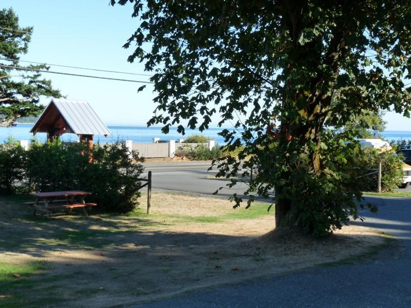 Driftwood By The Sea Inn Campbell River Kültér fotó